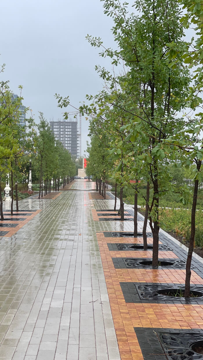 Приствольная решетка для дерева ZKING CRUST 1.2х1.2м Черная в Электростали фото